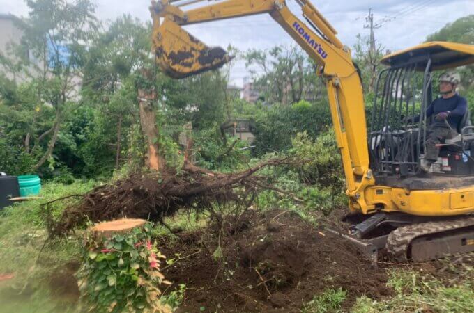 伐採が終わった所で重機で伐根作業を進めます。大きな根っこは土を出来るだけ落として処分場へ運びます